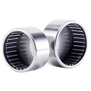 INA BK1616 Closed Cup Needle Roller Bearing Wholesale