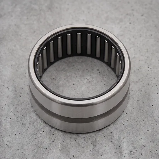 INA NKI18/16 Needle Roller Bearing GCr15 P6 Wholesale